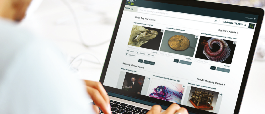 Digital Asset Management System