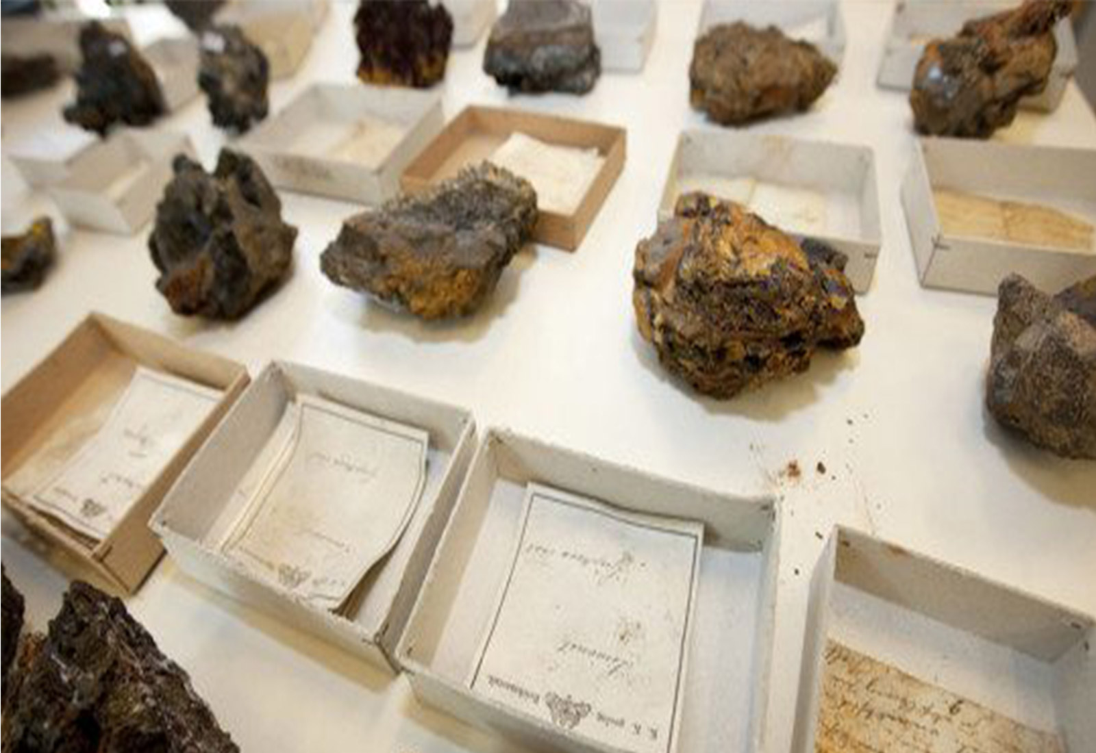 Geological Survey Rocks